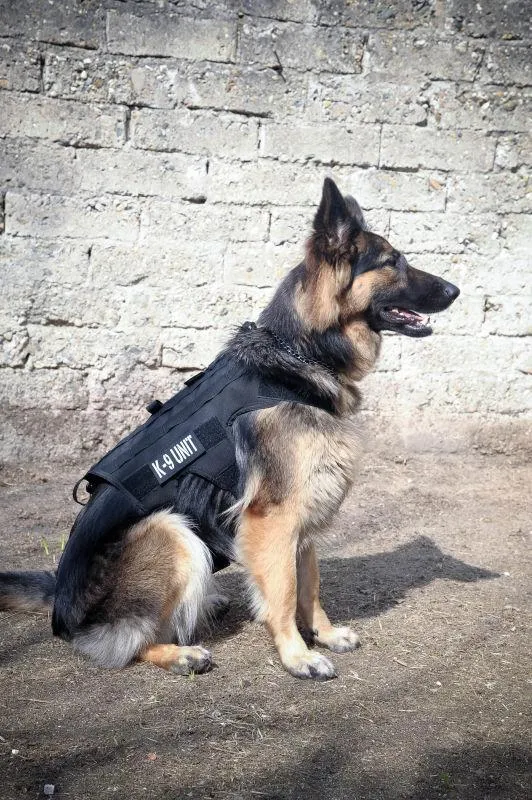NFGE-132 K9 Lightweight Harness