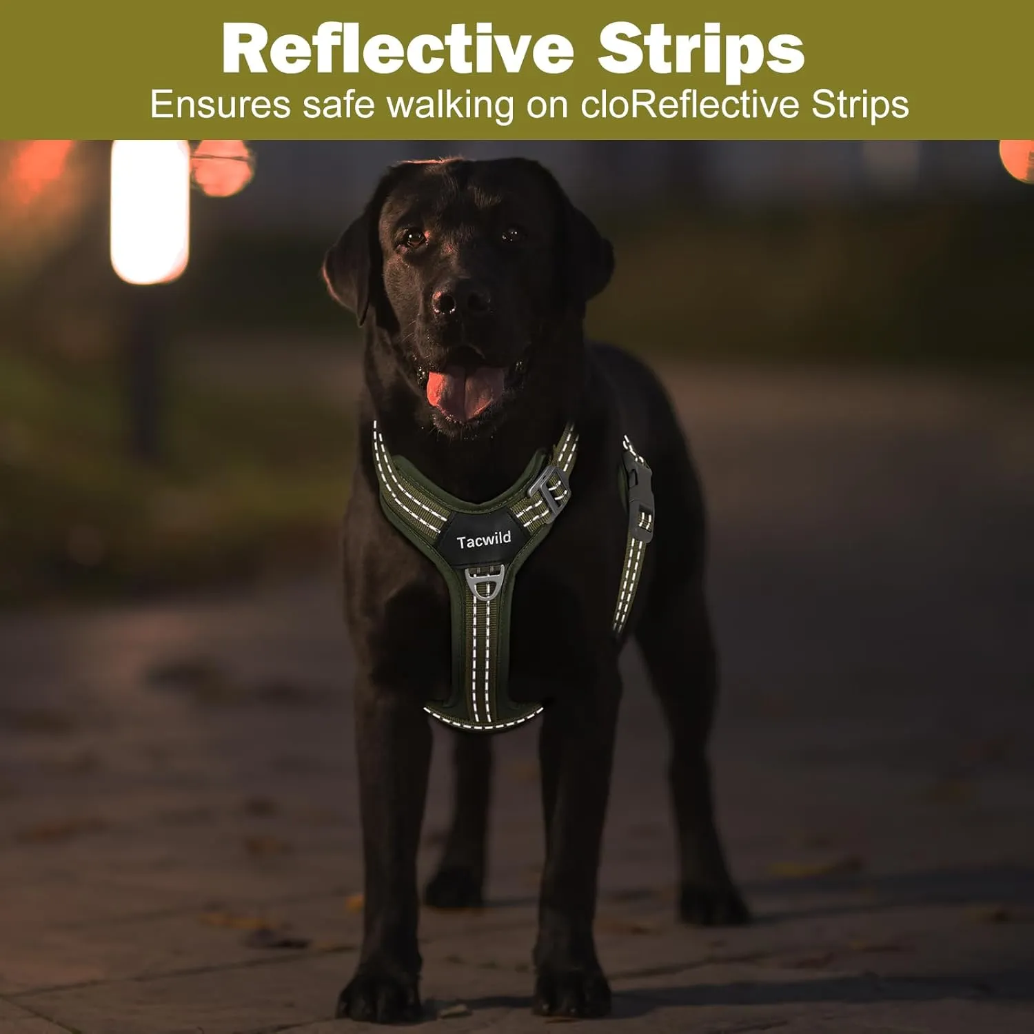 No Pull Dog Harness - Adjustable Reflective Dog Vest with Metal Snap, Soft Breathable Mesh No Choke Puppy Harness, Easy to Put on & Take Off (Green-M)