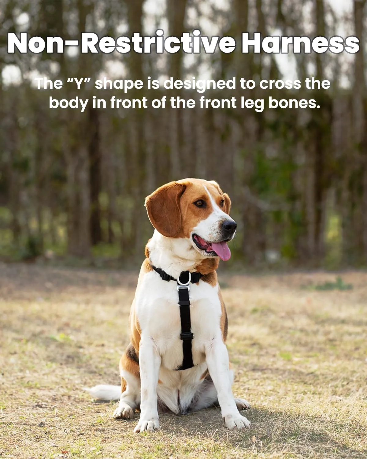 Non-Restrictive Easy Walk Freedom No Pull Dog Harness, Keep Balance, Neck-Buckle, Six Points Adjustment, 2 Leash Clips for Back and Front Clip (Black/Grey, L)