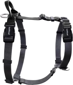 Non-Restrictive Easy Walk Freedom No Pull Dog Harness, Keep Balance, Neck-Buckle, Six Points Adjustment, 2 Leash Clips for Back and Front Clip (Black/Grey, L)