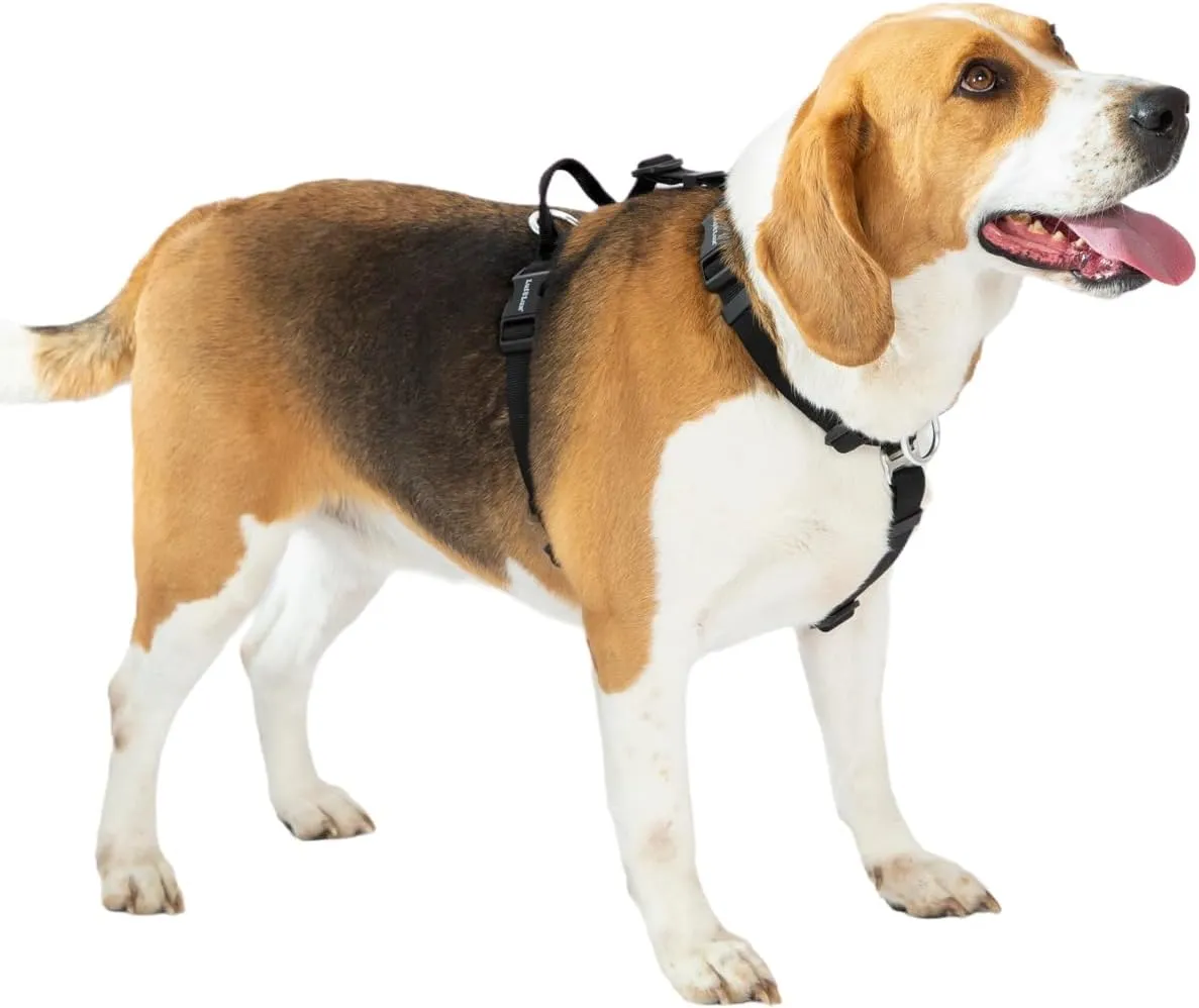 Non-Restrictive Easy Walk Freedom No Pull Dog Harness, Keep Balance, Neck-Buckle, Six Points Adjustment, 2 Leash Clips for Back and Front Clip (Black/Grey, L)