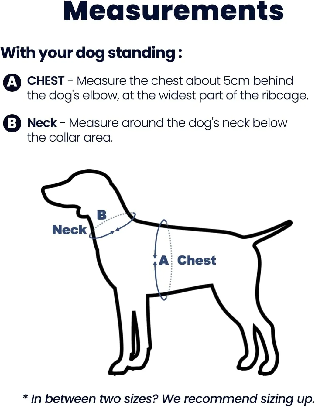 Non-Restrictive Easy Walk Freedom No Pull Dog Harness, Keep Balance, Neck-Buckle, Six Points Adjustment, 2 Leash Clips for Back and Front Clip (Black/Grey, L)