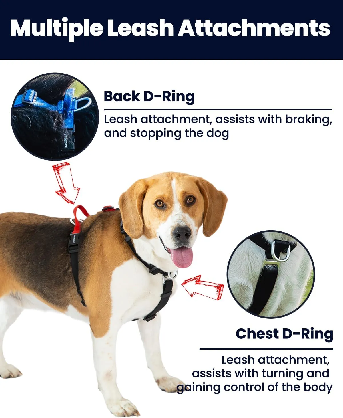 Non-Restrictive Easy Walk Freedom No Pull Dog Harness, Keep Balance, Neck-Buckle, Six Points Adjustment, 2 Leash Clips for Back and Front Clip (Black/Grey, L)