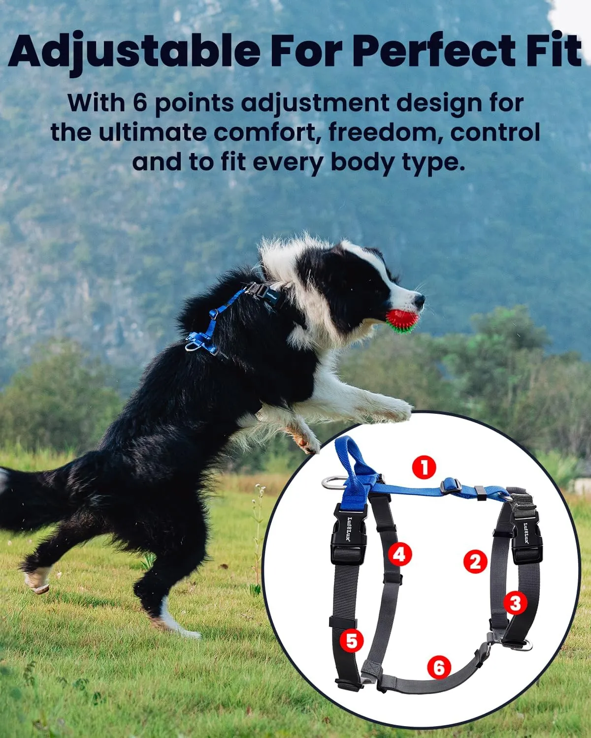 Non-Restrictive Easy Walk Freedom No Pull Dog Harness, Keep Balance, Neck-Buckle, Six Points Adjustment, 2 Leash Clips for Back and Front Clip (Black/Grey, L)