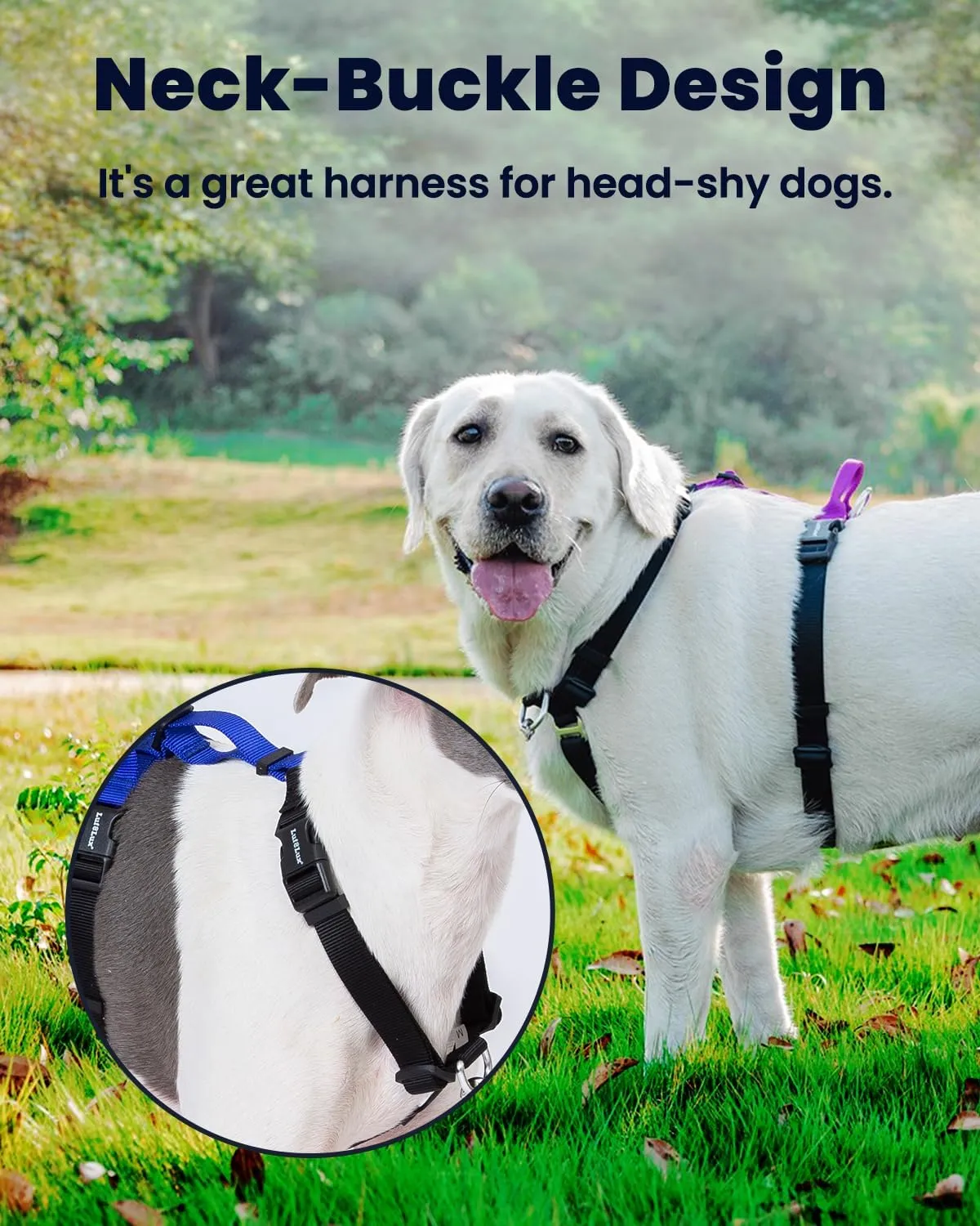 Non-Restrictive Easy Walk Freedom No Pull Dog Harness, Keep Balance, Neck-Buckle, Six Points Adjustment, 2 Leash Clips for Back and Front Clip (Black/Grey, L)