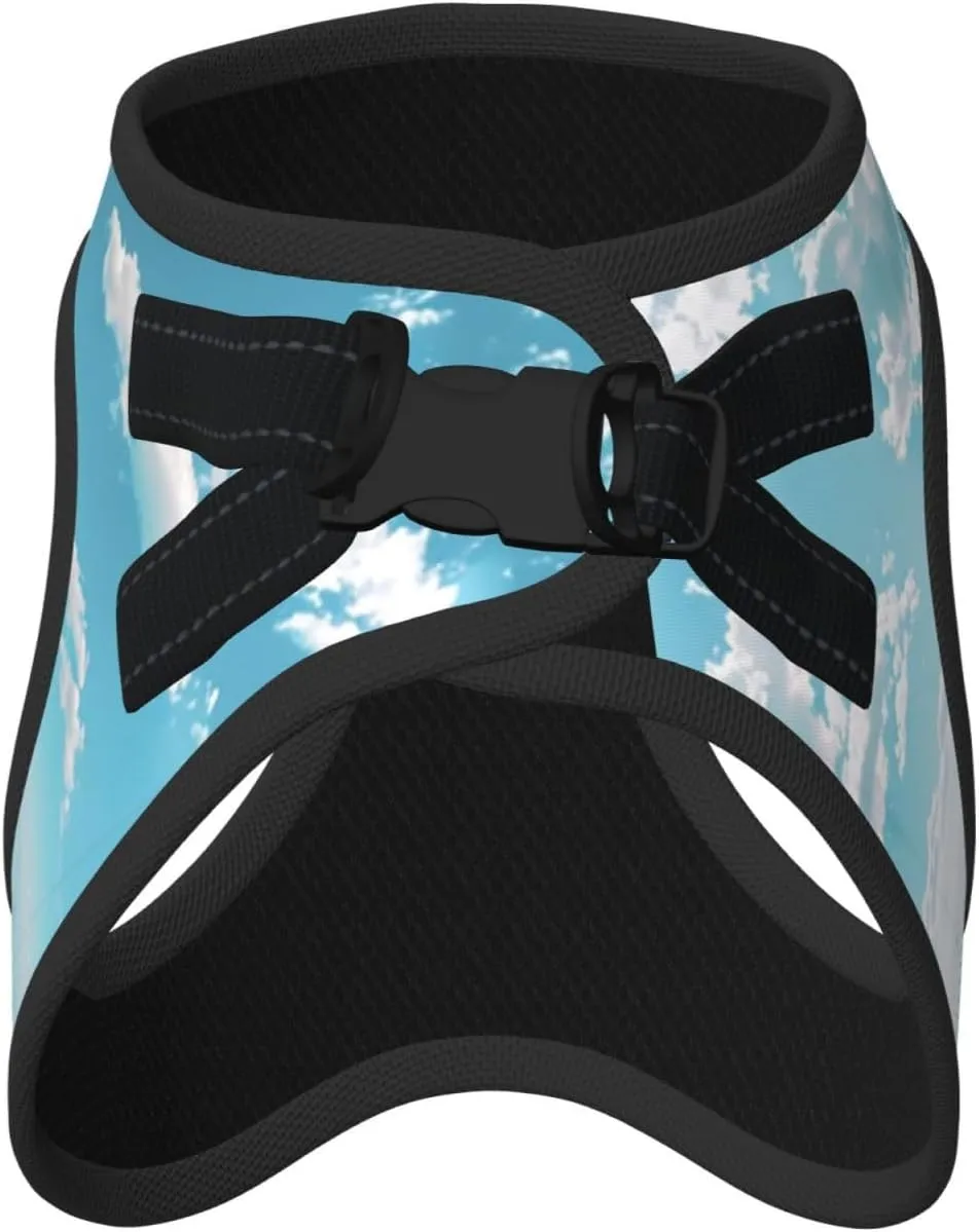 Ocean Mirror Pet Vest Small Size Dog Harness and Leash Set, Reflective & Breathable for Puppy Training with Accessories Small