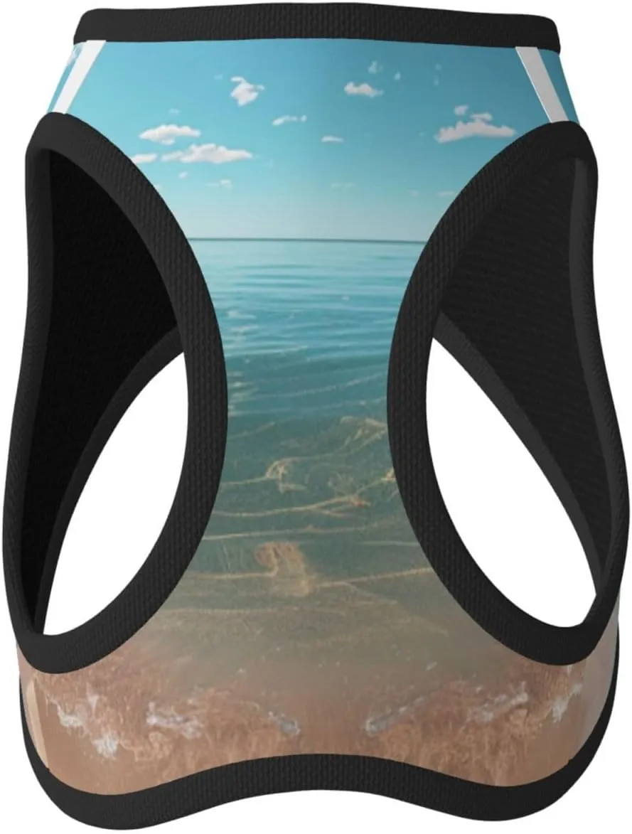 Ocean Mirror Pet Vest Small Size Dog Harness and Leash Set, Reflective & Breathable for Puppy Training with Accessories Small