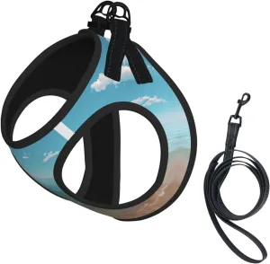 Ocean Mirror Pet Vest Small Size Dog Harness and Leash Set, Reflective & Breathable for Puppy Training with Accessories Small