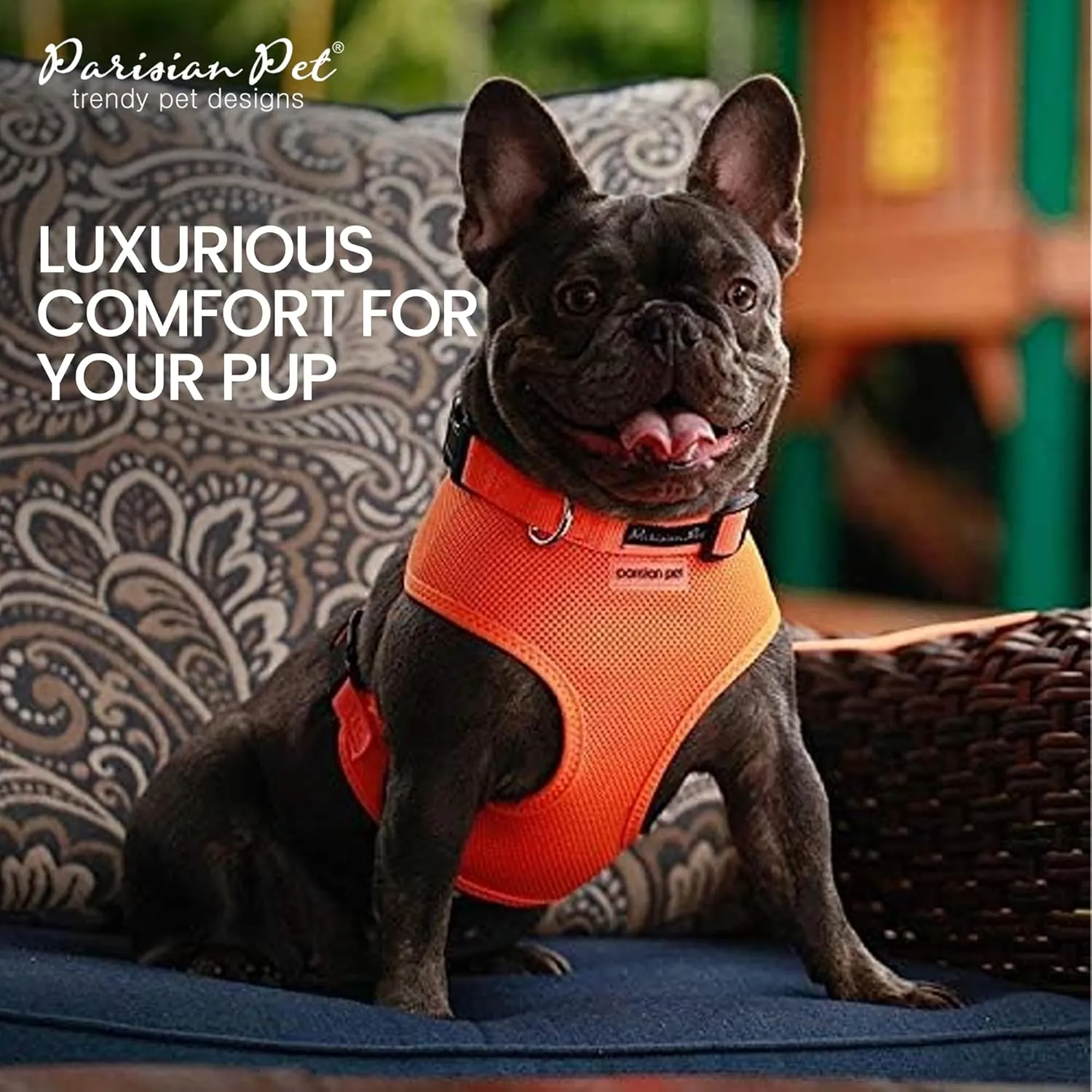 Parisian Pet Orange Dog Harness - Adjustable Dog Vest Harness - Soft Padded, No Pull Puppy Harness - Cooling Dog Harness for Large Dogs - Idle for Walking, Running, and Hiking - L