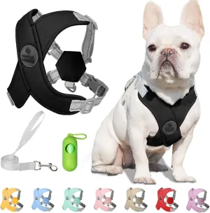 Patas Lague Dog Harness with Leash Set Adjustable Soft Padded Step-in Dog Vest No Choke No Pull Reflective for Small Medium Pets with Poop Bags and Dispenser, Solid and No-chew, Black M