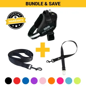 Personalized  Harness   Leash   Safety Seat Belt BUNDLE