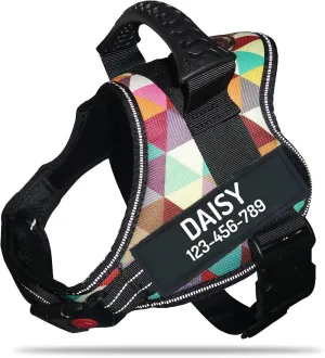 Personalized No Pull Dog Harness with Custom Name and Phone Number by PawPawify, Heavy Duty Pet Vest to Prevent Tugging, Pulling, or Choking, Training and Walking XS Chest 17-22in Color Grid