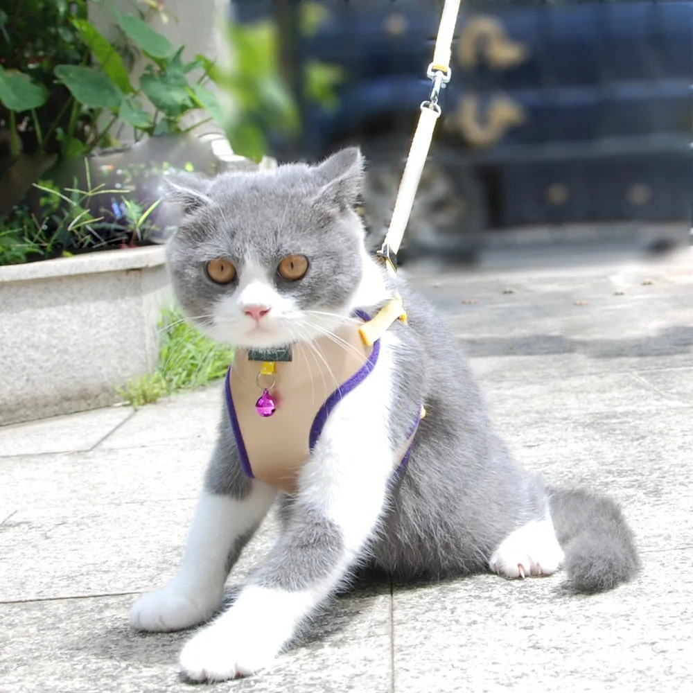 Pet Adjustable Harness