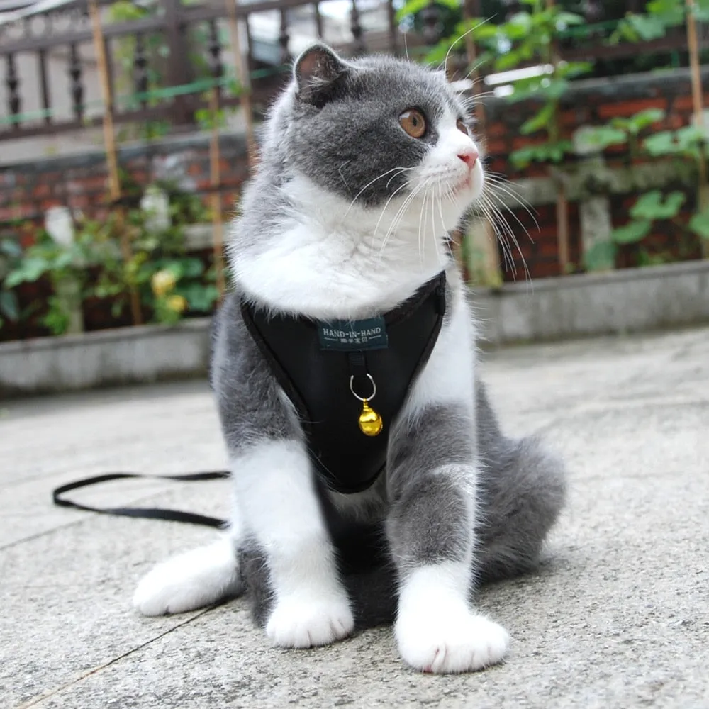 Pet Adjustable Harness