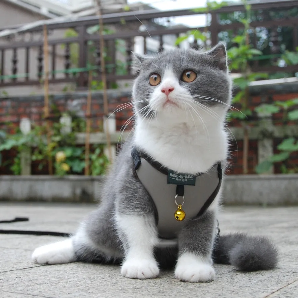 Pet Adjustable Harness