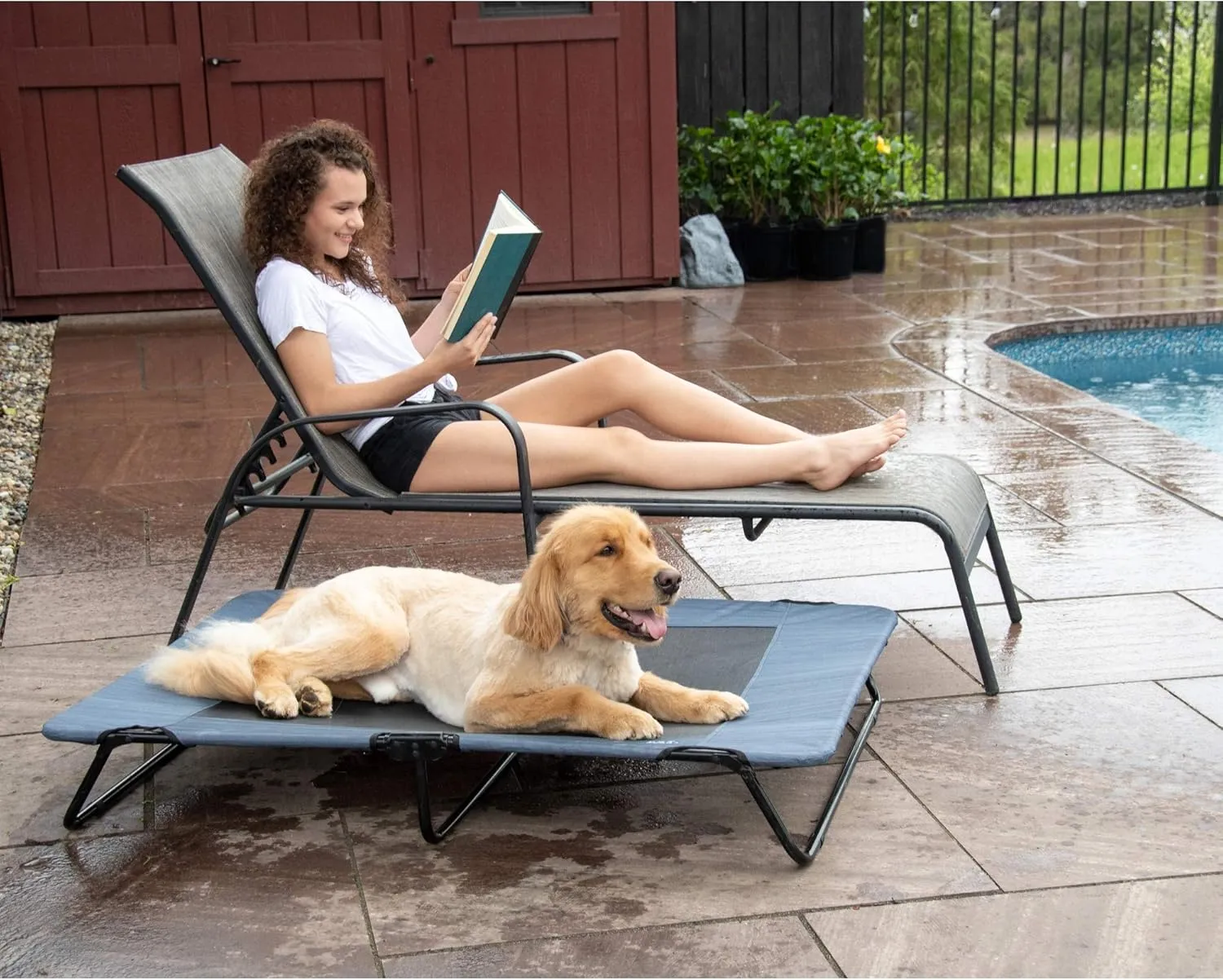 Pet Gear Lifestyle Pet Cot Elevated Bed, No Assembly Required, Premium Tear Resistant Cooling Mesh, Indoor & Outdoor, Lightweight & Portable, Indigo