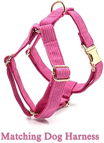 PETDURO Personalized Dog Collars Custom Stripe Velvet with Name Engraved Gold Metal Buckle for Boy & Girl Dogs - Matching Leash Bow Tie Harness Poop Bag Holder Available