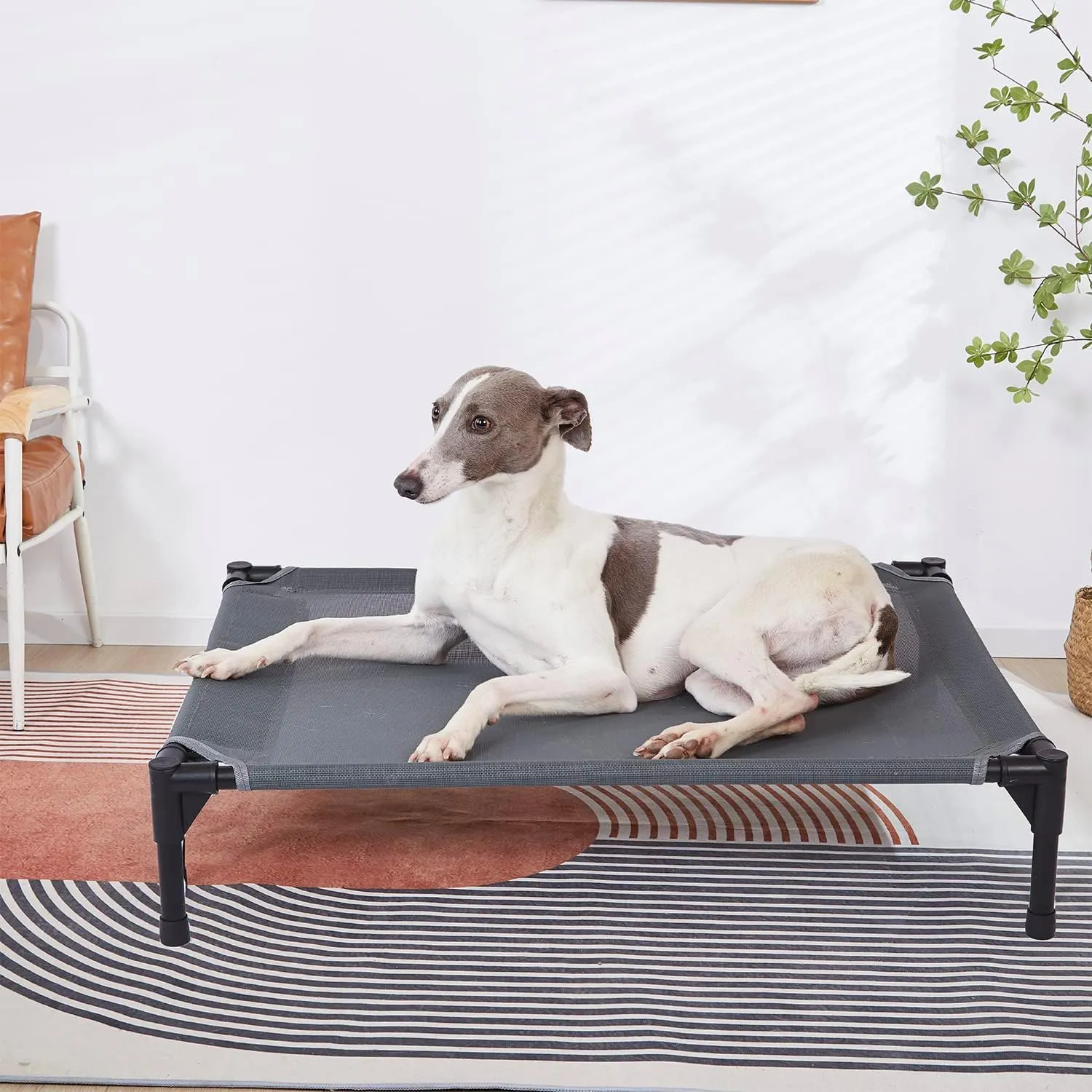 pettycare Elevated Outdoor Dog Bed - Dog Cots for Medium Pet, Heavy Duty Raised Cot Waterproof, Cooling Pets Bed with Washable Durable Teslin Mesh and Non Slip Feet, 32 Inches, Grey