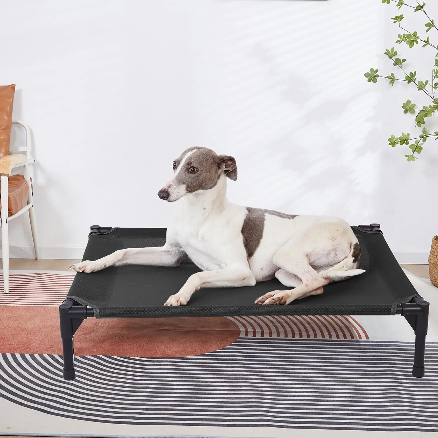 pettycare Elevated Outdoor Dog Bed - Raised Cot for Large Dogs, Heavy Duty Pet Cots Waterproof, Cooling, Washable Breathable Teslin Mesh, Durable, Non Slip, 42 Inch, Black