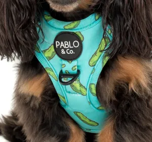 Pickles Adjustable Harness