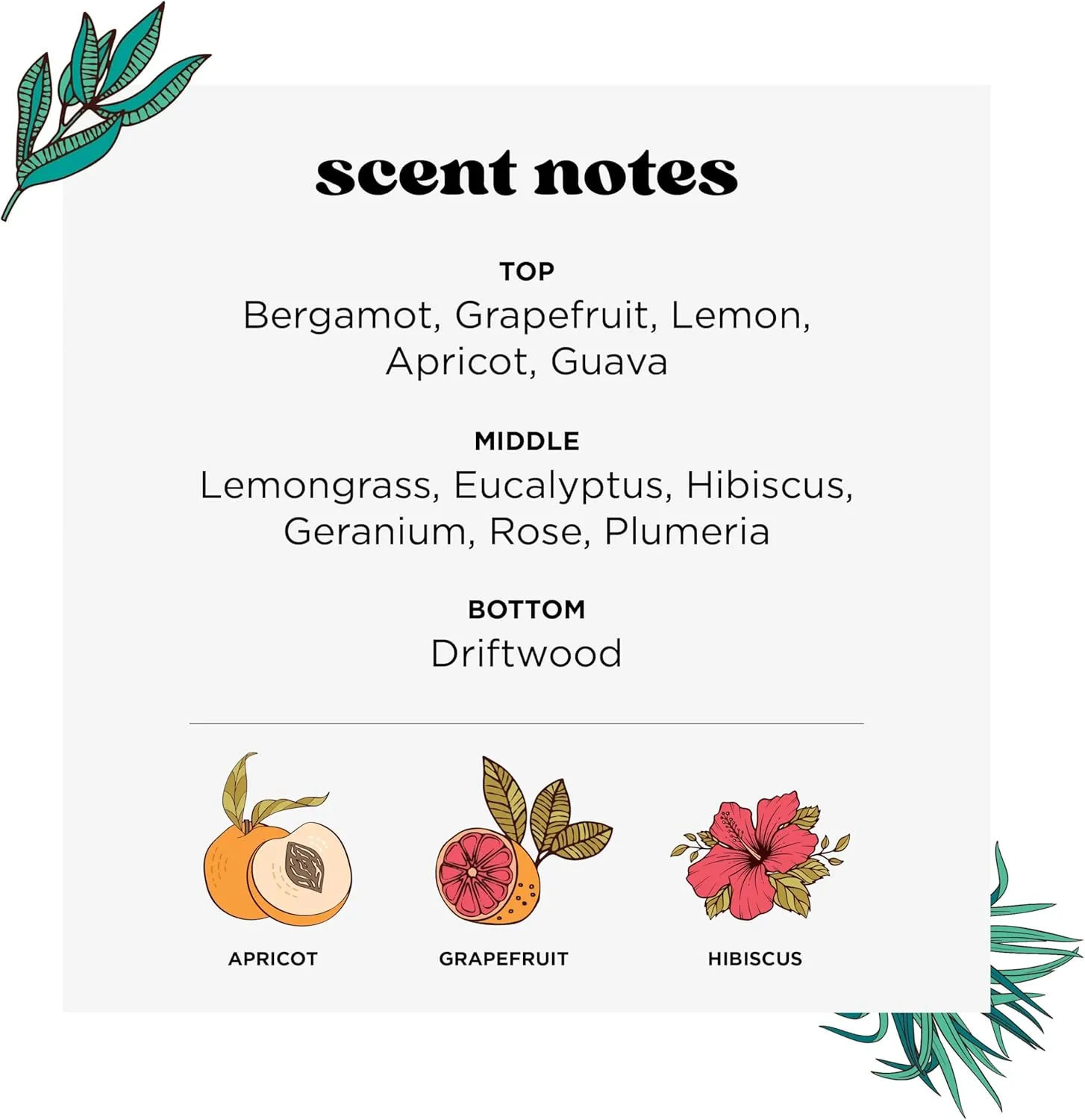 Poo-Pourri Before-You-Go Toilet Spray, Tropical Hibiscus, Refill Bottle 16 Fl Oz - Hibiscus, Apricot and Citrus