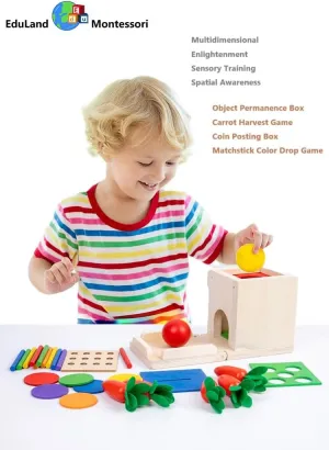 Practical Life Sensory Geometri Wooden Blocks 4-in-1 Toddlers Kit, Object Permanence Posting Coin Box, Carrot Harvest, Color Sticks Push- Matching, Motor Skill for Toddler 3-6 Years