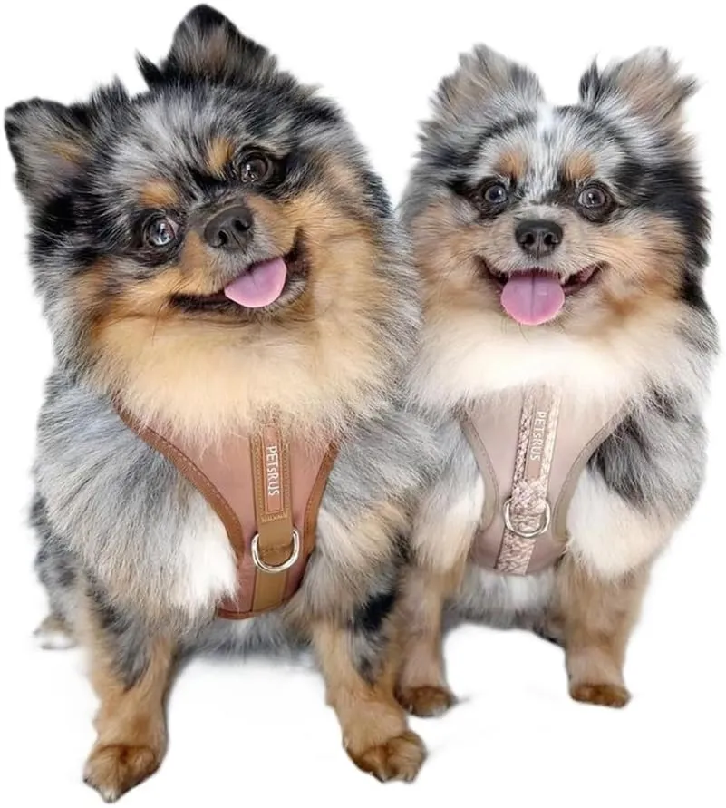 Premium No Pull Adjustable Dog Harness Neoprene Luxury Breathable Lightweight Small Medium Dogs Comfortable Puppy Training Vest 2 Leash Clips Walking & Control (Taupe Snake, XS)