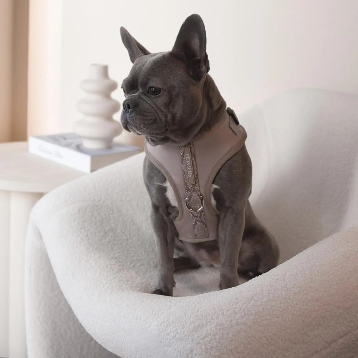 Premium No Pull Adjustable Dog Harness Neoprene Luxury Breathable Lightweight Small Medium Dogs Comfortable Puppy Training Vest 2 Leash Clips Walking & Control (Taupe Snake, XS)