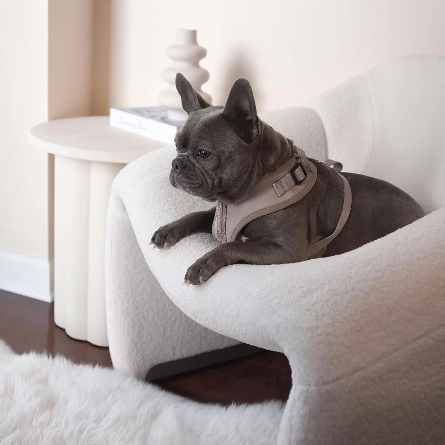 Premium No Pull Adjustable Dog Harness Neoprene Luxury Breathable Lightweight Small Medium Dogs Comfortable Puppy Training Vest 2 Leash Clips Walking & Control (Taupe Snake, XS)