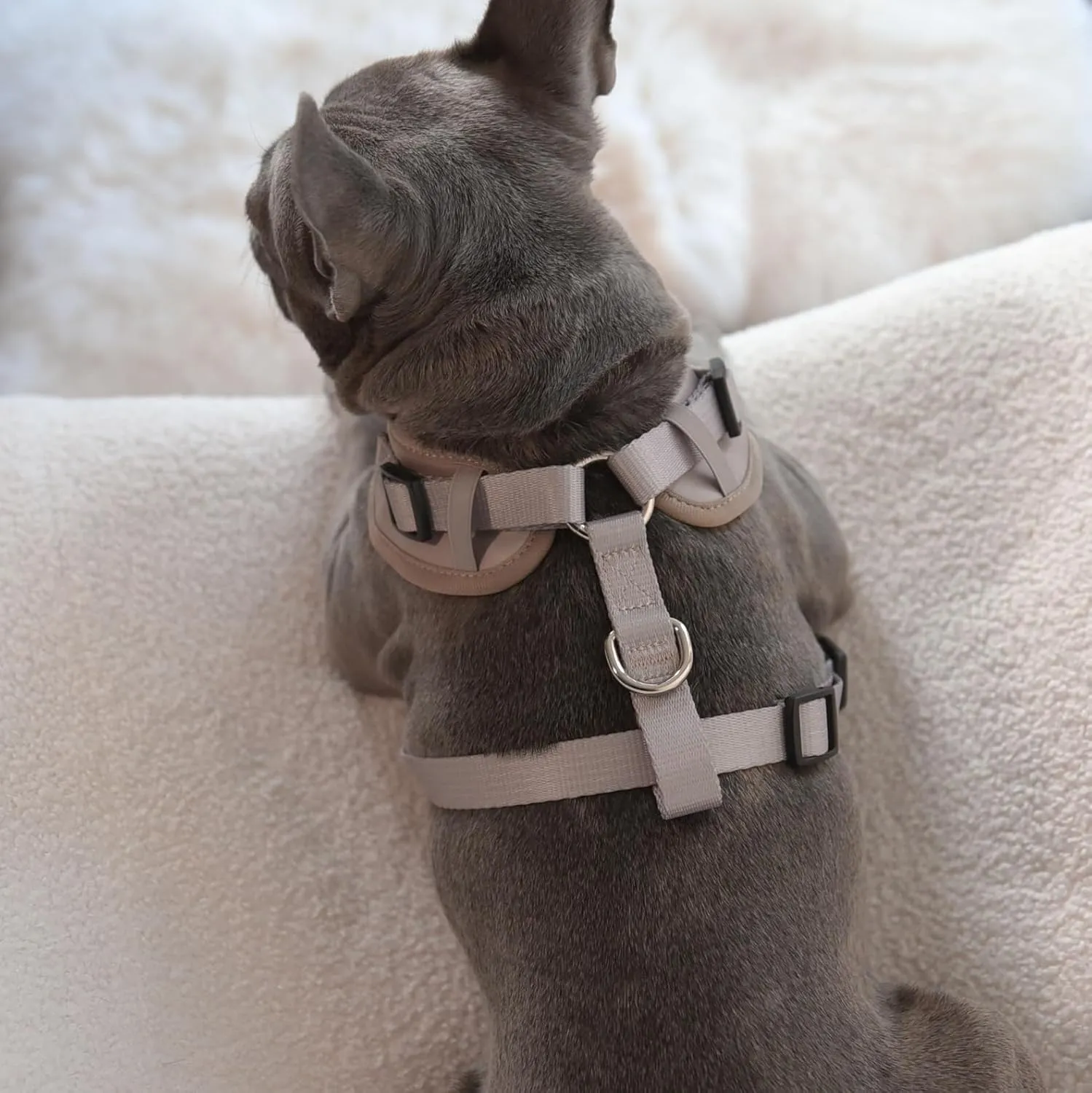 Premium No Pull Adjustable Dog Harness Neoprene Luxury Breathable Lightweight Small Medium Dogs Comfortable Puppy Training Vest 2 Leash Clips Walking & Control (Taupe Snake, XS)