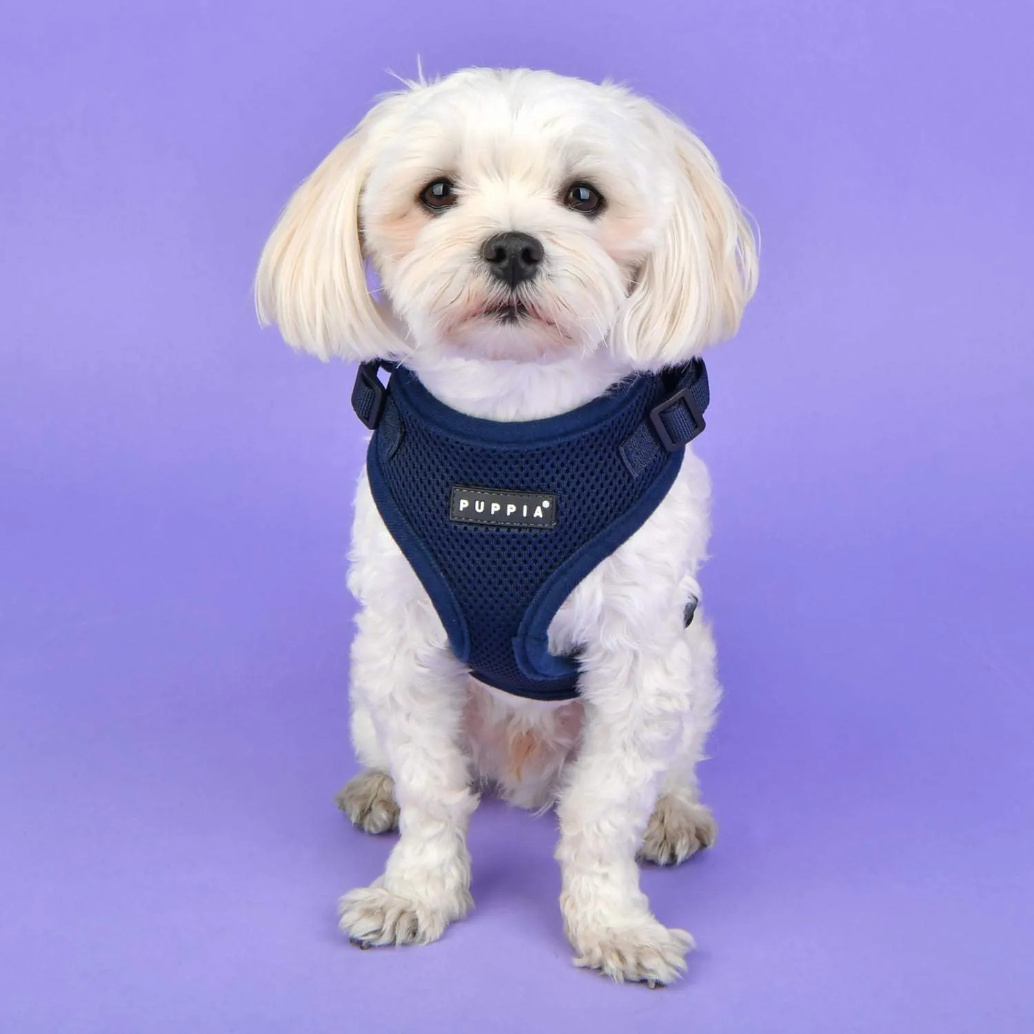 Puppia Authentic RiteFit Harness with Adjustable Neck ORANGE, Medium