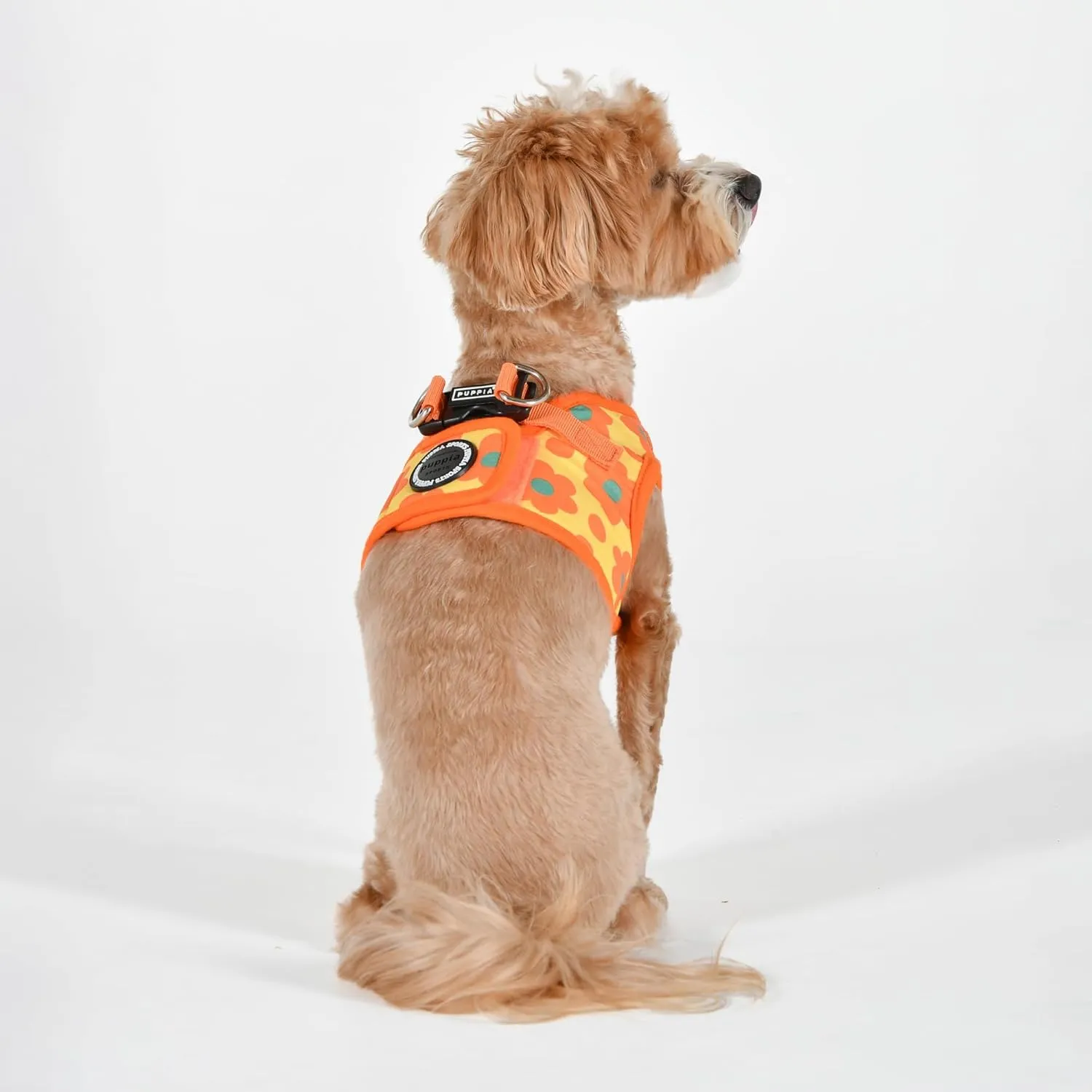 Puppia Bacopas Dog Vest Harness B (Step-in) Fashionable Flower Pattern Spring Summer Harness for Small and Medium Dogs, Orange, Large
