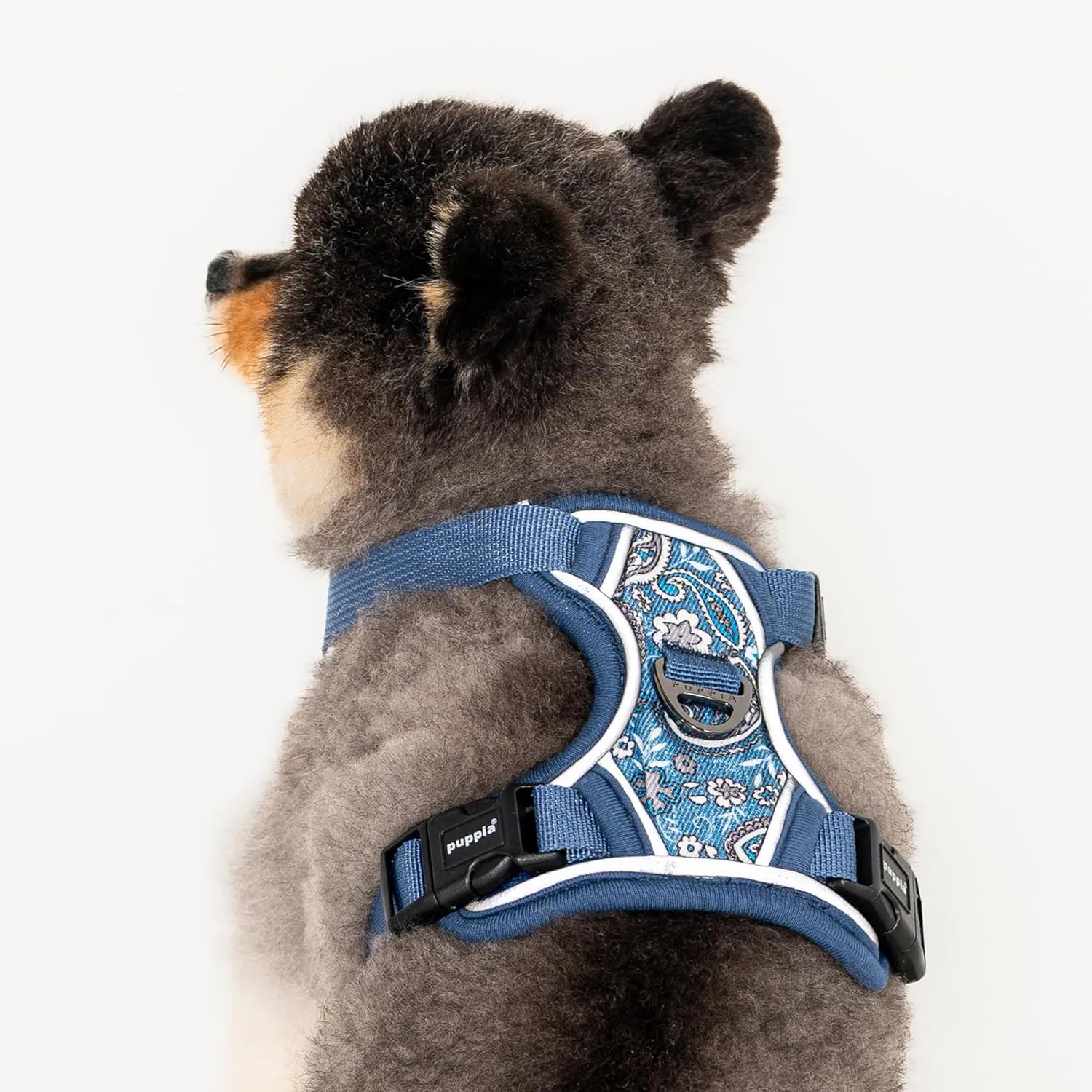 Puppia Cynthia Dog Harness H Sturdy Adjustable Neck and Chest Reflective Flower Pattern Front and Back D-Ring for Small and Medium Dogs, Blue, Small
