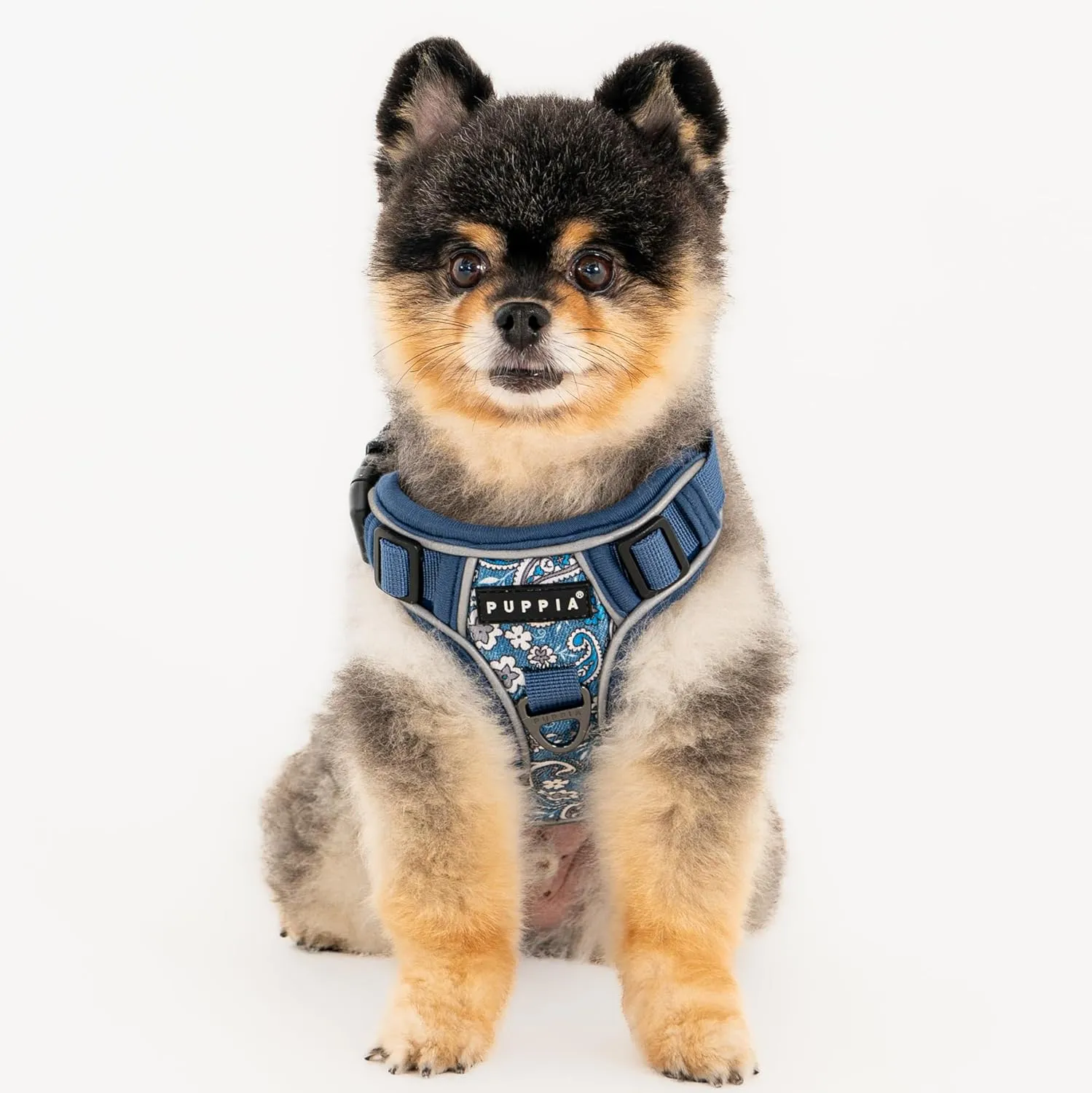 Puppia Cynthia Dog Harness H Sturdy Adjustable Neck and Chest Reflective Flower Pattern Front and Back D-Ring for Small and Medium Dogs, Blue, Small