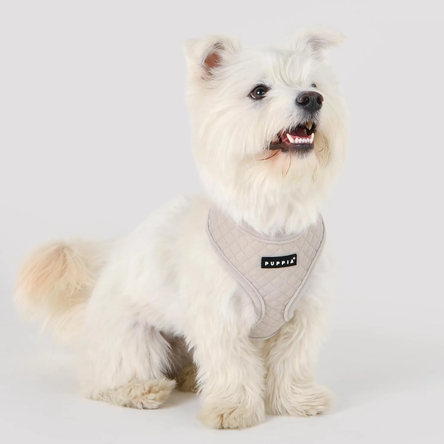 Puppia Irvin Dog Harness Over-The-Head Warm Winter Diamond Pattern Adjustable Chest for Small and Medium Dog, Cream, Small