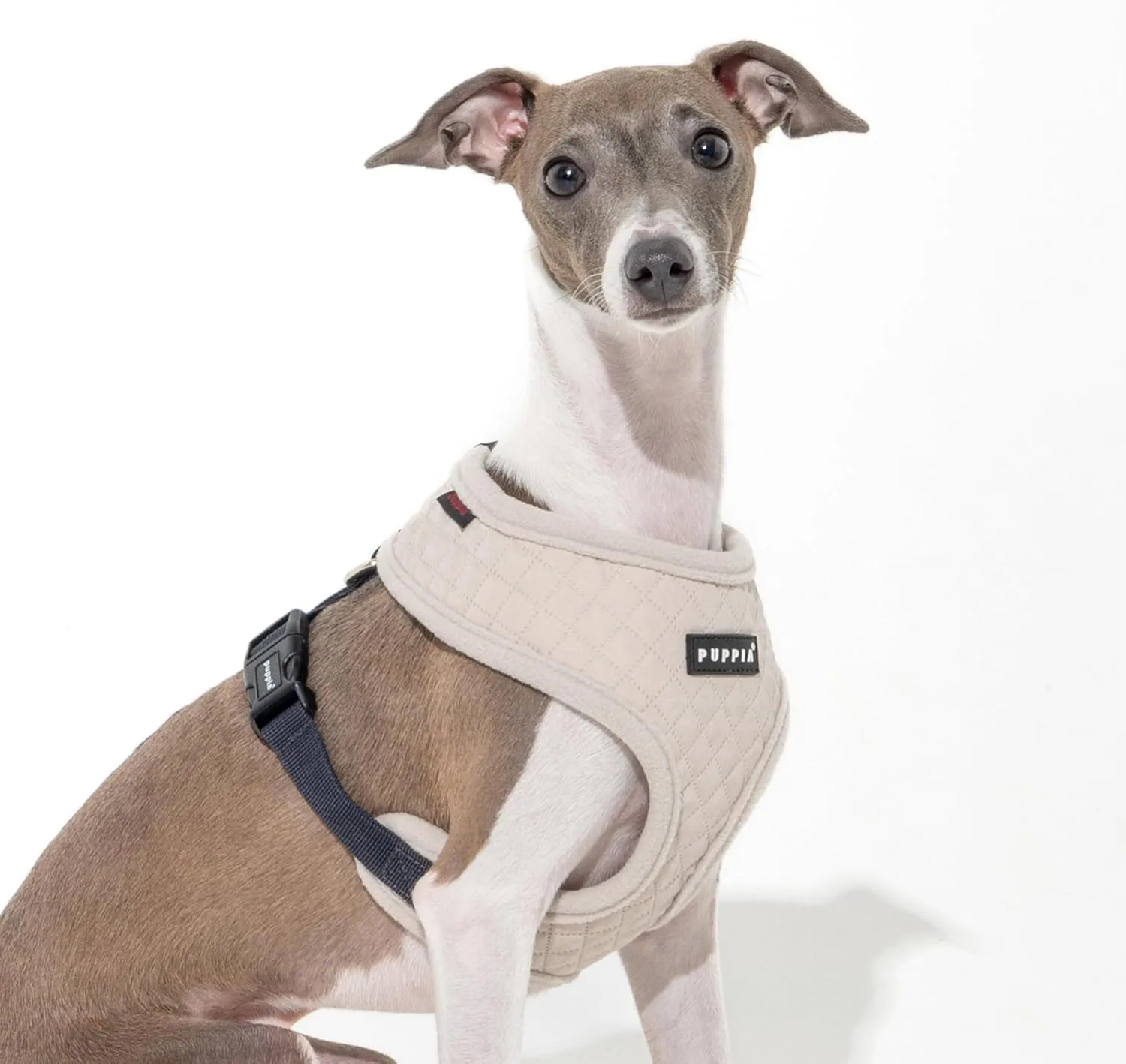 Puppia Irvin Dog Harness Over-The-Head Warm Winter Diamond Pattern Adjustable Chest for Small and Medium Dog, Cream, Small
