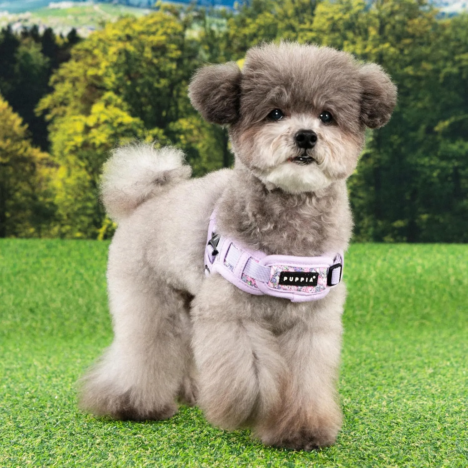 Puppia Kealoha Dog Harness X Fashionable Flower Pattern Spring Summer Harness for Small and Medium Dogs, Violet, Medium