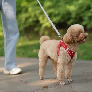 Puppy Adjustable Vest Harness