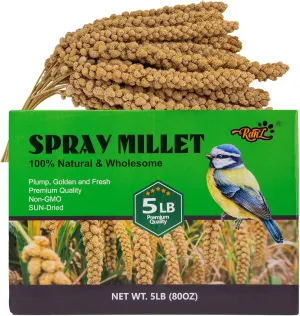 RANZ 5LBS Millet Spray for Birds, GMO-Free, Sun Dried Spray Millet, Original Bird Treats & Supplement for Parrots, Cockatiels, Lovebirds, Painted Buntings and Finches, Parakeets Food Millet