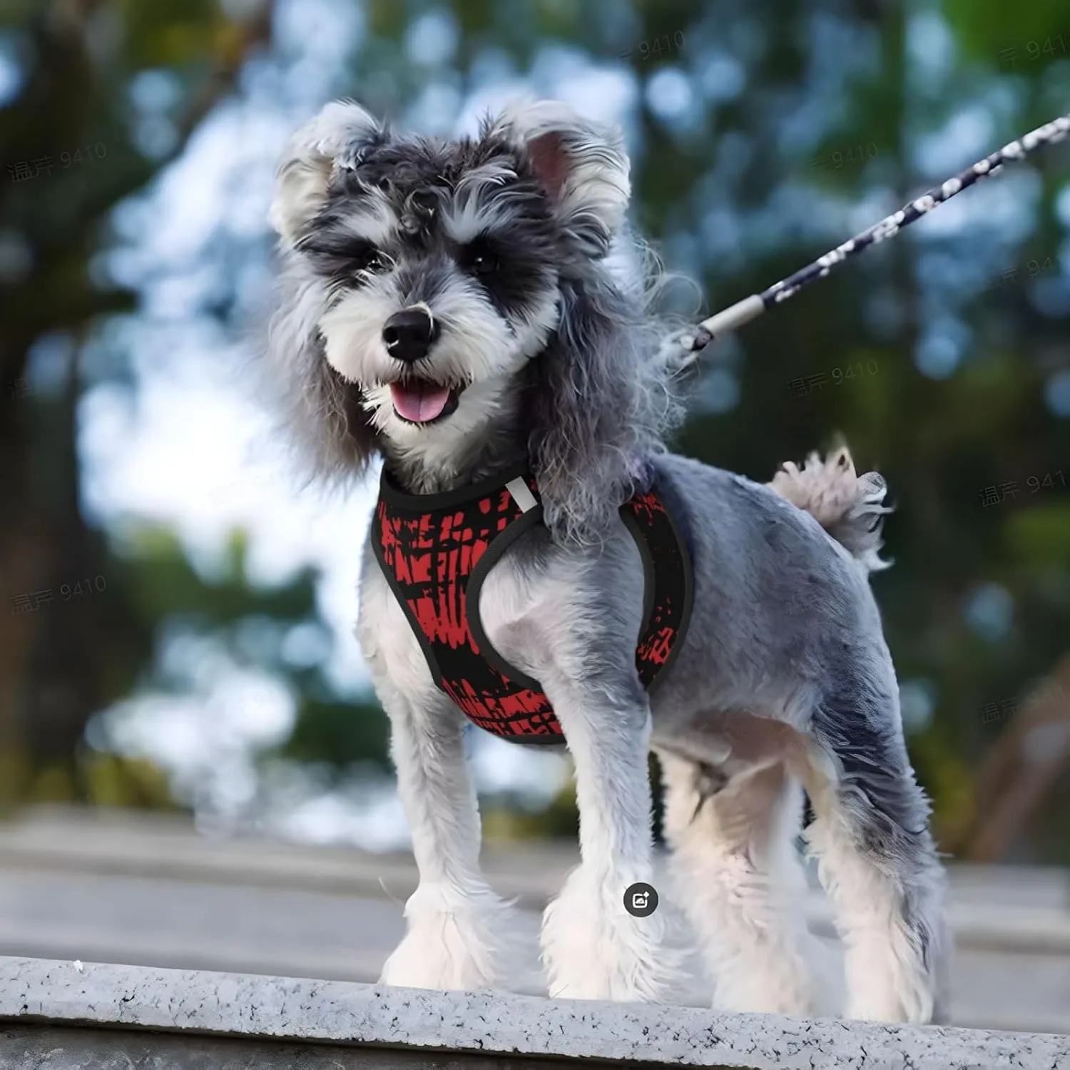 Red Ink Splash Background Print No Pull Dog Harness and Leash Set Reflective Adjustable Step-in Puppy Pet Vest Harnesses for Small Dogs and Cats