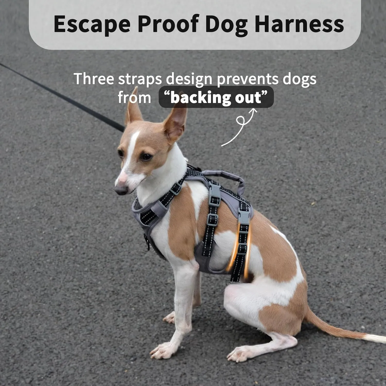 Reflective Dog Harness with Handle, Escape Proof, No Slip, Breathable, Lightweight, Adjustable Lift Harness for Small, Medium, and Large Dogs Walking, Training, and Running Gear(Black,L)