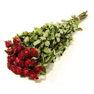 Roses 'Spray Roses' (DRY) (Various Colours)