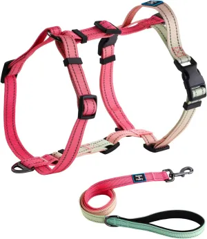 Roses&Poetry Puppy Dog Harness and Leash Set, No Pull Dog Harness Adjustable Reflective, Dog Halter Harnesses Comfort Padded Handle, Pet Harness for Training Outdoor Walking（Pink-M