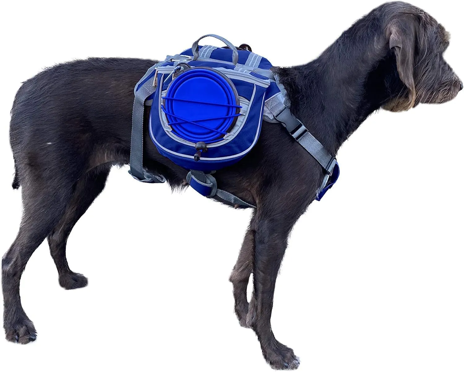 Saddlebag Back Pack & Harness Combo for Dogs 30-100  lbs. Perfect for Travel, Trail Hiking, & Camping. Reflective, Lightweight, & Comfortable. Comes with Two Collapsible Bowls (Large, Blue)