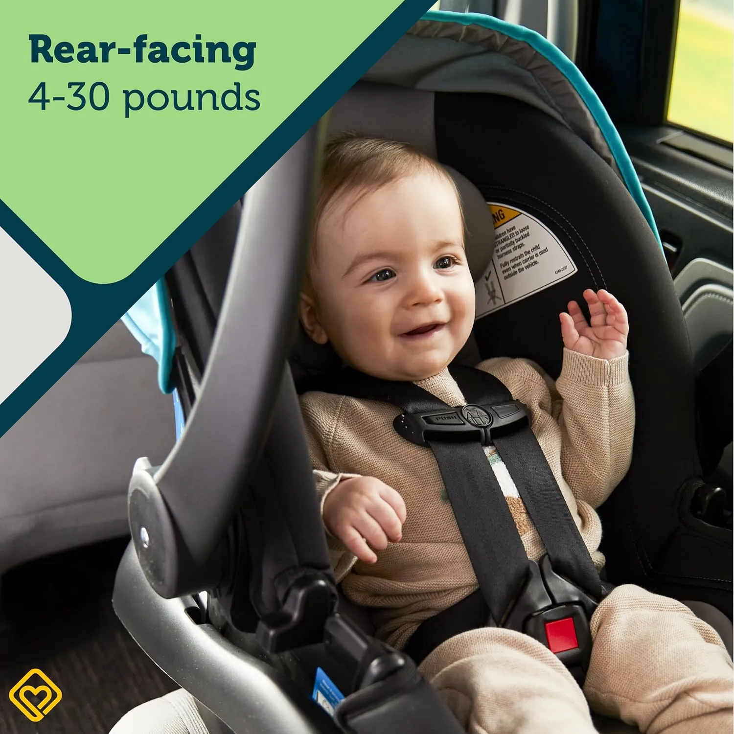 Safety 1st OnBoard FLX Infant Car Seat, Wisteria Lane 2