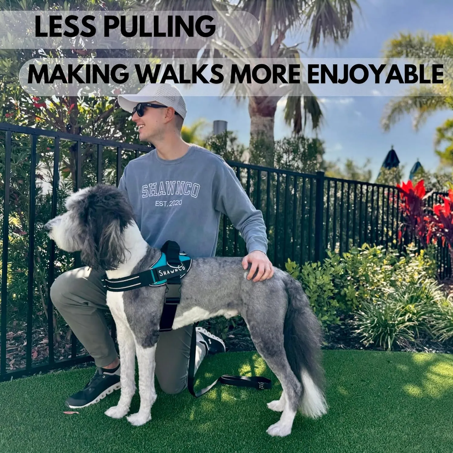 ShawnCo Essential Pro Dog Harness, No-Pull Pet Vest with 3 Leash Clips and Removable, Reflective Side Patches, Adjustable and Padded Harness for Small, Medium and Large Dogs (Orchid, S)