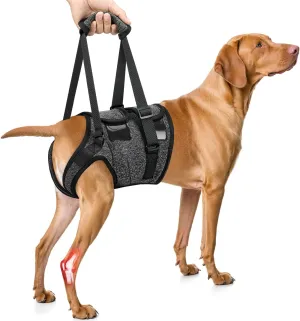 SlowTon Dog Lift Harness - Adjustable Dog Sling for Medium Large Dogs, Hind Leg Support to Help Rehabilitate, Soft Padded Dog Support Harness for Elderly, Injured, Arthritic, Disabled Dogs, XL