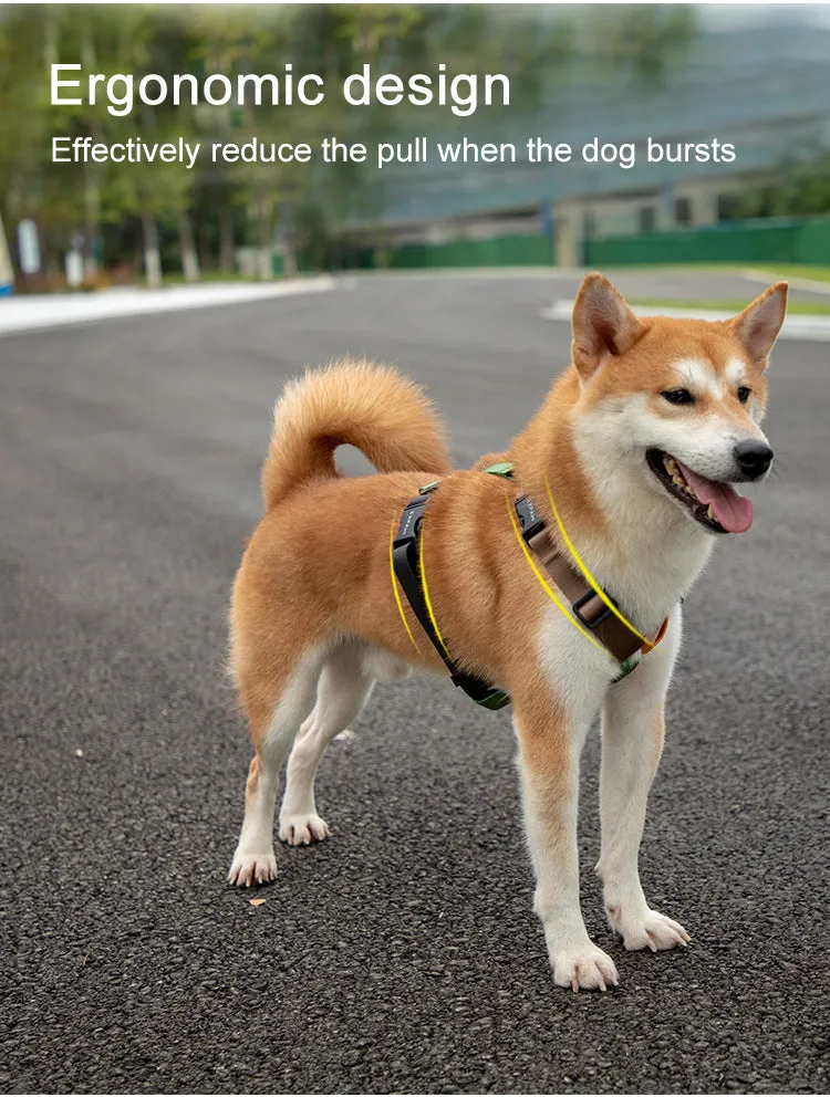Stylish Adjustable Nylon Dog Harness