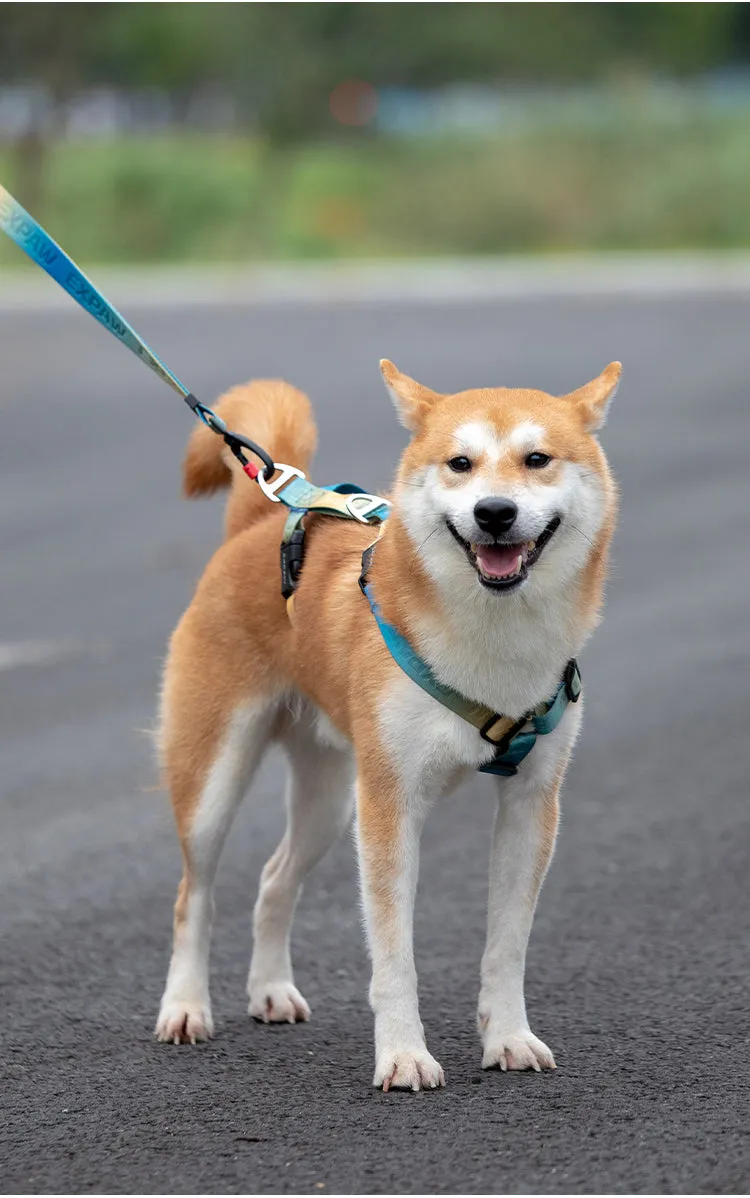 Stylish Adjustable Nylon Dog Harness