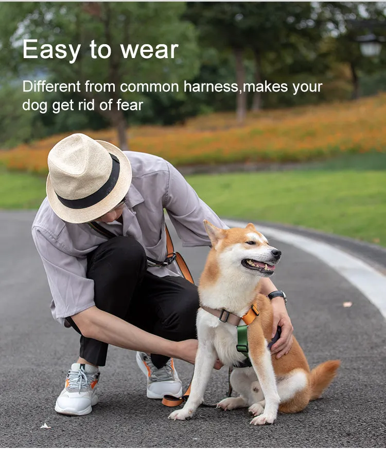 Stylish Adjustable Nylon Dog Harness